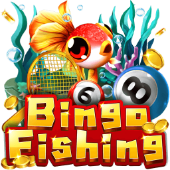 Câu Cá Bingo open8 games