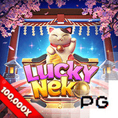 Mèo May Mắn open8